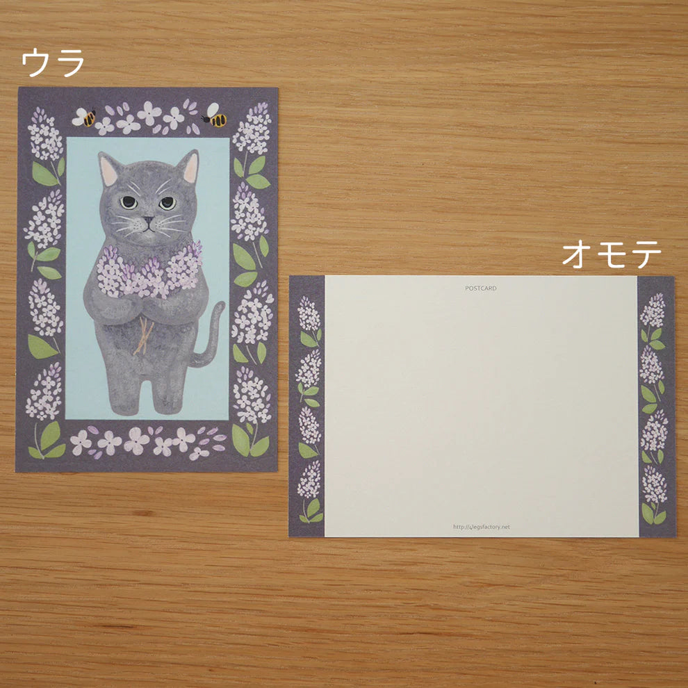 Russian Blue Cat | Postcard