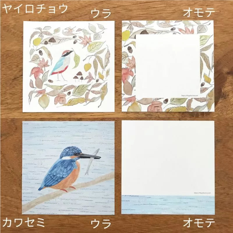 (NEW) Wild Birds | Memo sheets (14 designs)