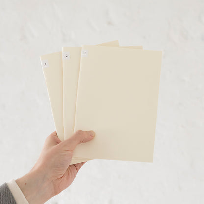(NEW) Midori MD Notebook Light A5 - Blank - Pack of 3